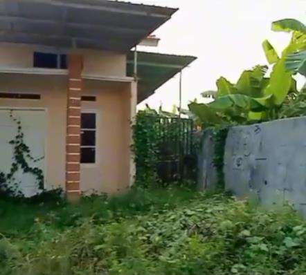 Cuma bersihkan rumput dan tanaman liar bayar Rp400 ribu.