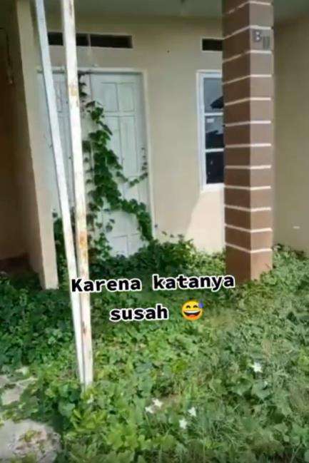 Cuma bersihkan rumput dan tanaman liar bayar Rp400 ribu.