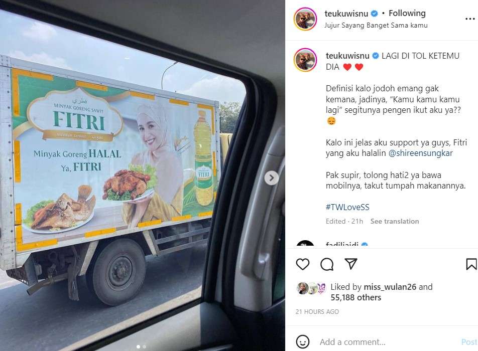 Unggahan Teuku Wisnu