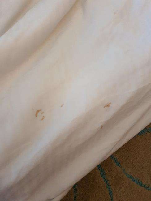 Tamu hotel kecewa, kamar sangat kotor penuh darah dan noda bekas cairan.
