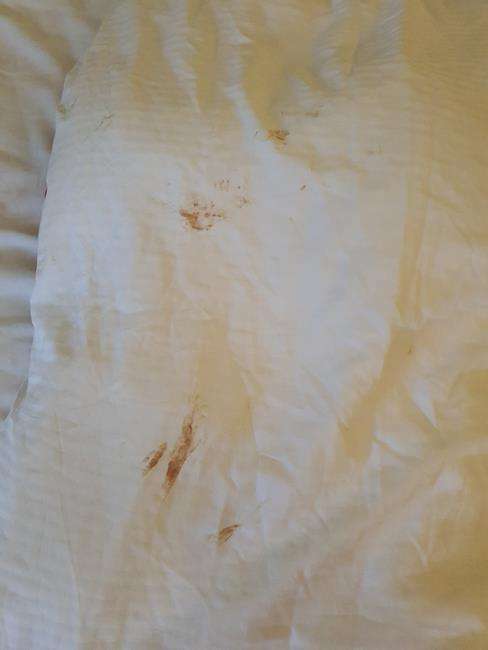 Tamu hotel kecewa, kamar sangat kotor penuh darah dan noda bekas cairan.