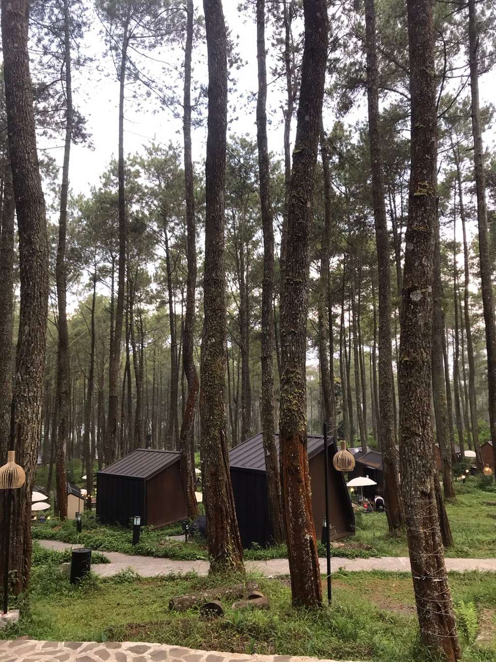 Bobocabin Cikole