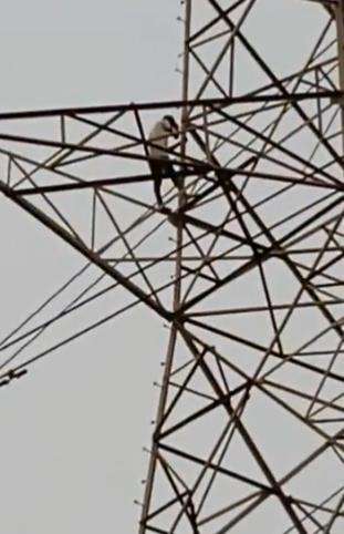 Suami nekad panjat tower karena tak diperbolehkan bawa pulang istri.