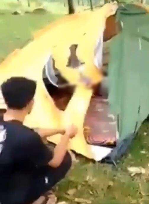 Sejoli asyik berduaan di dalam tenda tersambar petir.