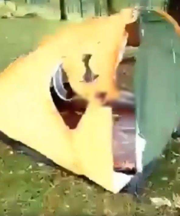 Sejoli asyik berduaan di dalam tenda tersambar petir.