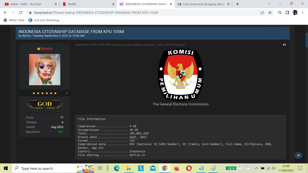 Data KPU kini yang dibocorkan Bjorka di Forum Breached