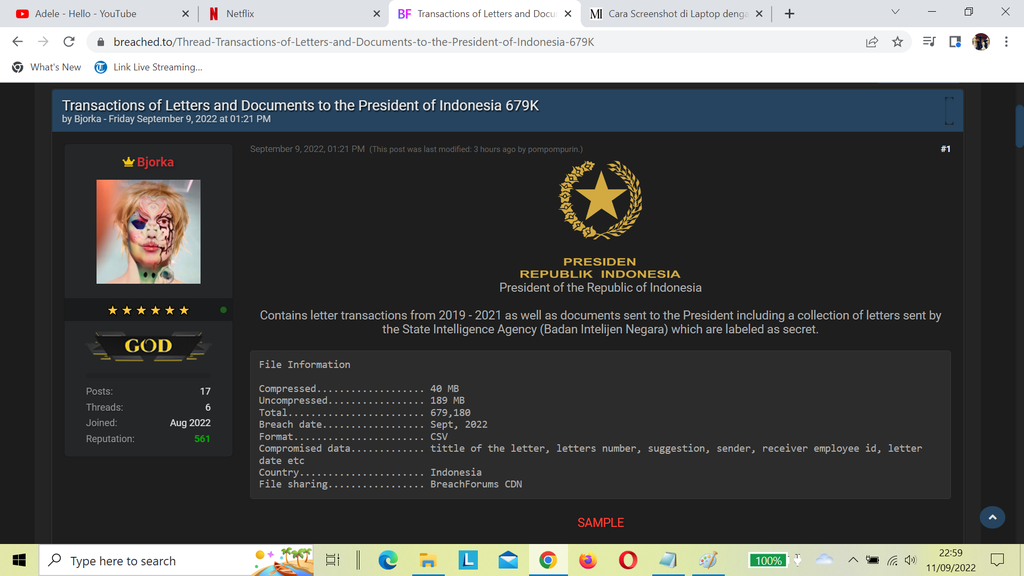 Surat Presiden RI dengan BIN yang kini dibocorkan Bjorka