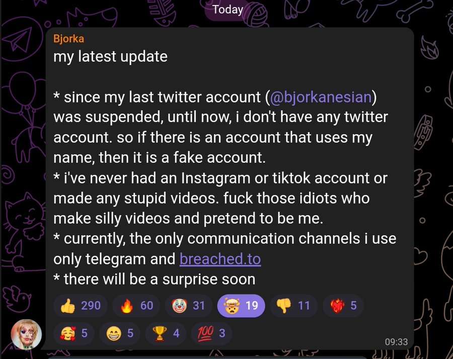 Grup Telegram Bjorkaism yang menjadi tempat doxing nomer ponsel pejabat RI