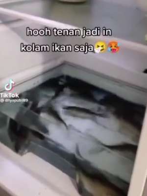 Ikan hidup berenang di dalam kulkas.