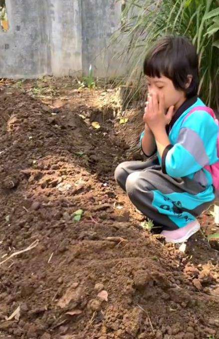 Bocah berdoa di samping gundukan tanah.
