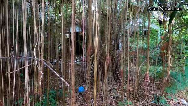 Rumah terbengkalai dibangun tahun 1980an