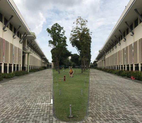 8 foto yang dikira kolase padahal aslinya cuma satu.