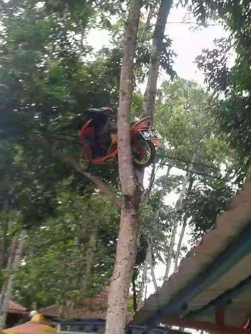 Deretan foto absurd kendaraan tersangkut di lokasi tak lazim.