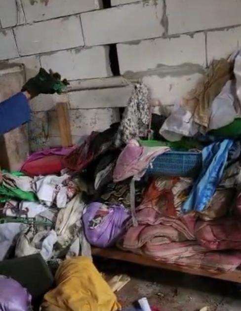 Penemuan ular piton raksasa di tumpukan kain tempat sablon.