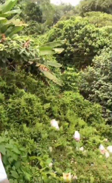 Heboh kloset jongkok di atas bukit, bawahnya jurang.