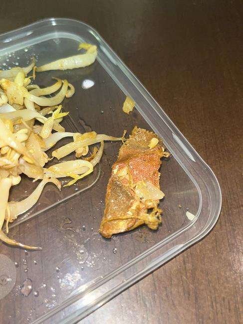 Dikira kulit ayam, ternyata plester luka bekas pakai.