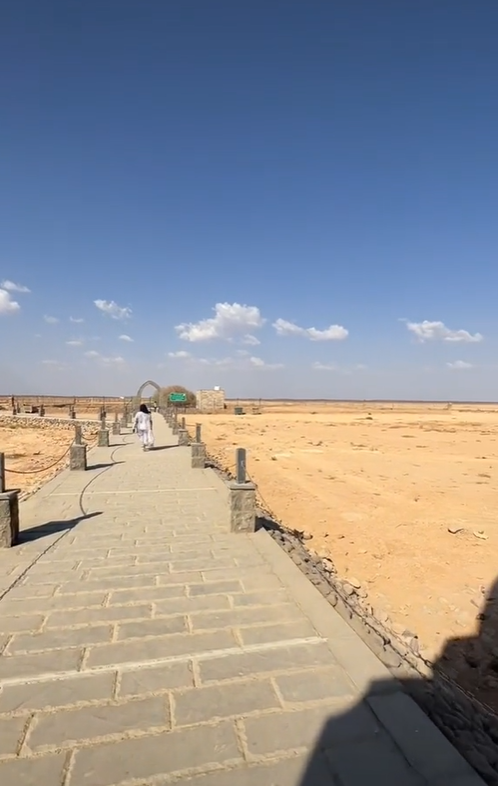 pohon sahabi