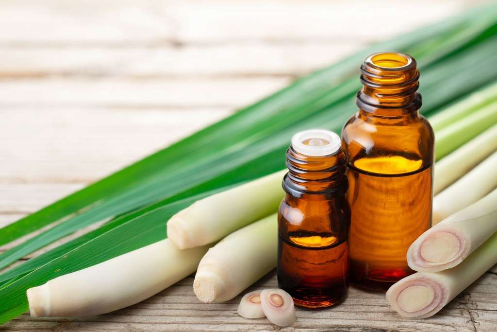 Manfaat Lemongrass Essensial Oil untuk Tubuh, Jangan Abai Cara Pemakaiannya