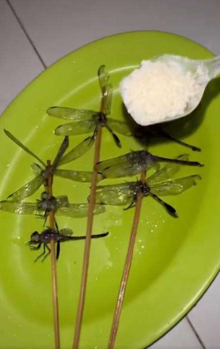 Makanan ekstrem capung goreng.
