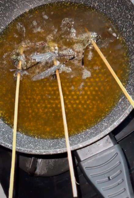Makanan ekstrem capung goreng.