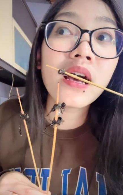 Makanan ekstrem capung goreng.
