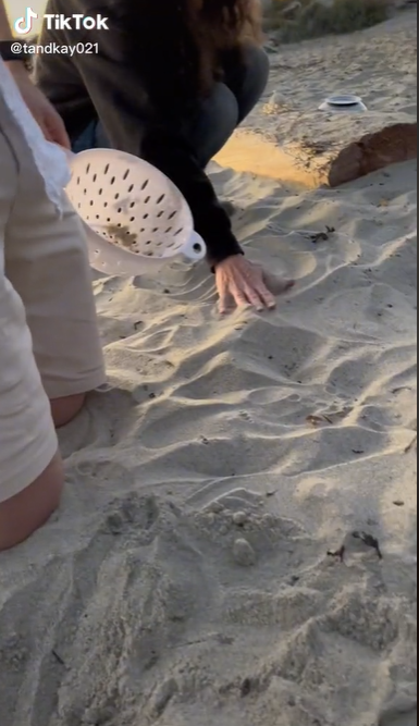 Niat Romantis Melamar Kekasih di Pantai, Cincin Malah Hilang di Pasir