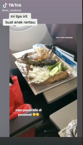 Wanita Ini Bawa Bekal Makan Tak Biasa Saat Naik Pesawat