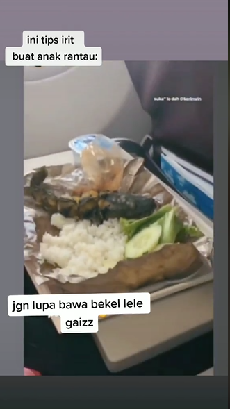 Wanita Ini Bawa Bekal Makan Tak Biasa Saat Naik Pesawat