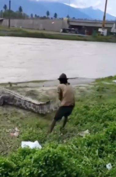 Aksi konyol pria hampir dicaplok buaya.