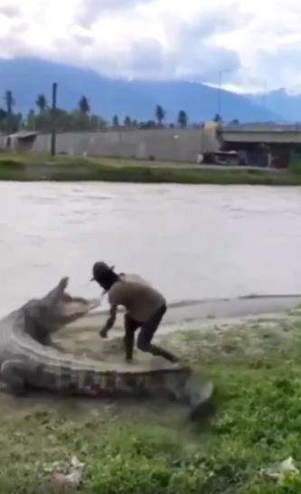 Aksi konyol pria hampir dicaplok buaya.