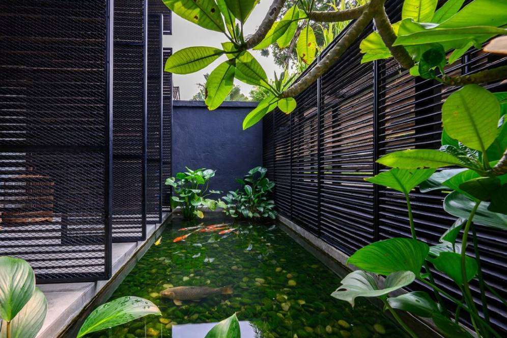 Rumah hitam