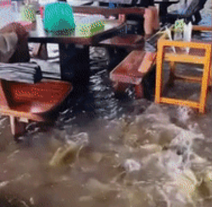 Restoran Ini Beri Sensasi Makan di Tengah Banjir, Bisa Sekalian Kasih Makan Ikan