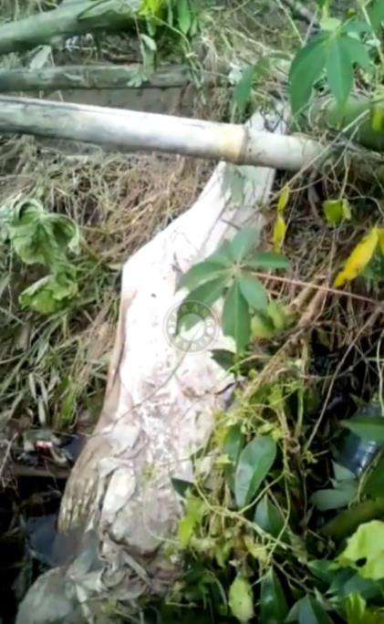 Jenazah menyembul keluar dari kuburan akibat terseret arus banjir.