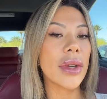 Bibir