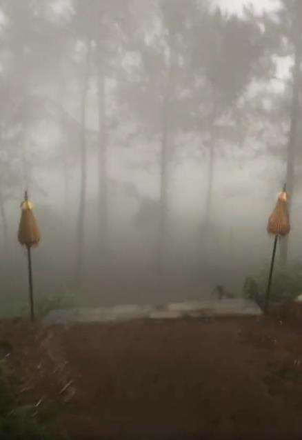 Pengalaman mistik pendaki saat solo hiking di Gunung Lawu.