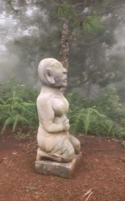 Pengalaman mistik pendaki saat solo hiking di Gunung Lawu.