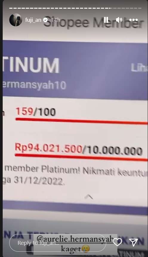 Belanja Aurel Hermansyah