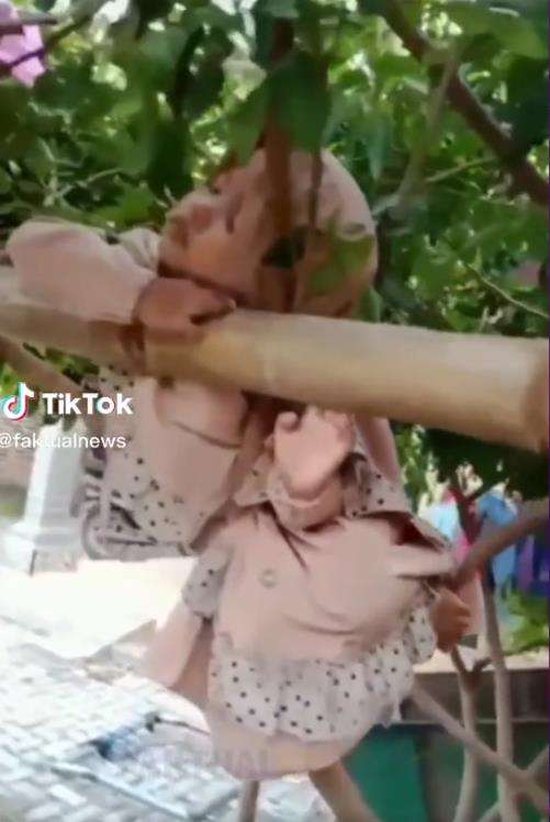Viral gadis cilik manjat pohon malah ketiduran.