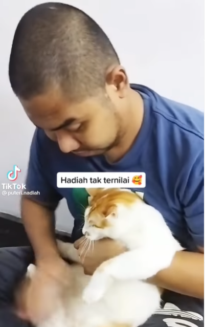 Terbiasa Momong Kucing, Reaksi Suami Dapat Kado Testpack Istri Bikin Haru