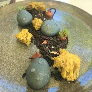Matcha Forest.