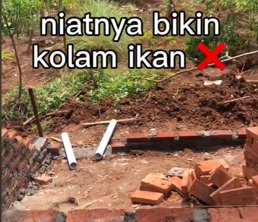 TikTok @petanimasadepan