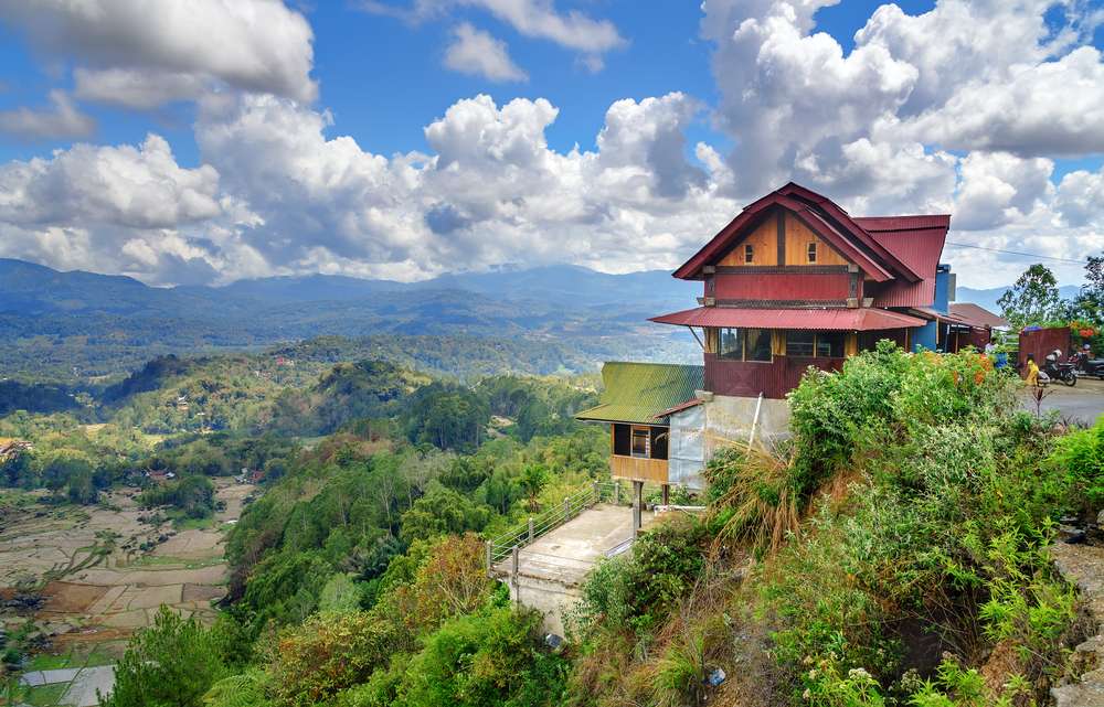 toraja