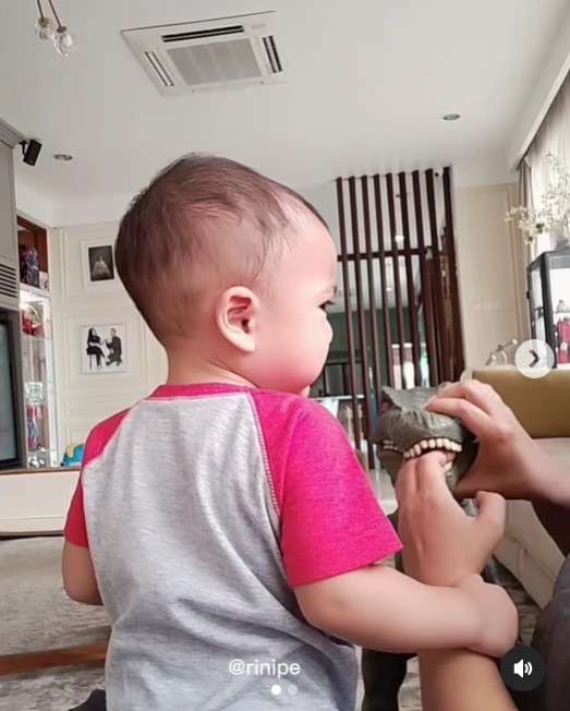 Rayyanza menangis lihat tangan Sus Rini digigit