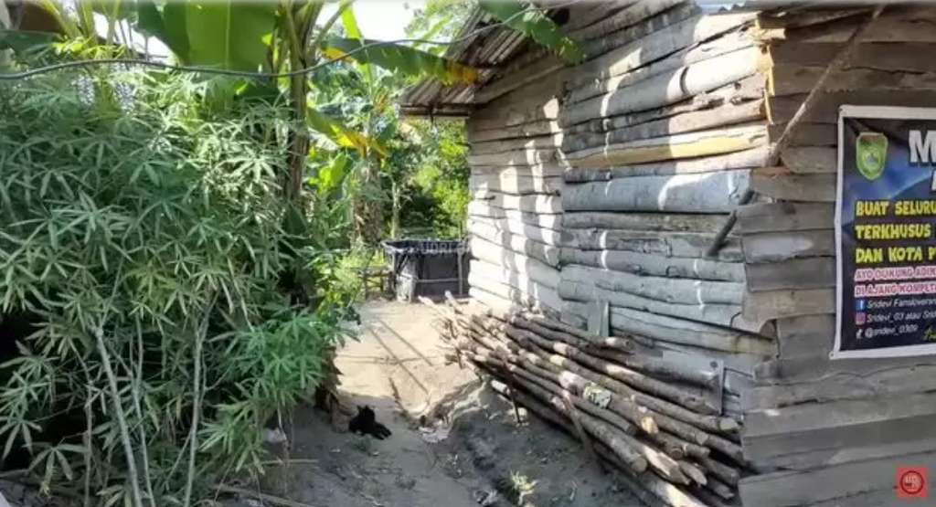 Potret rumah Sridevi