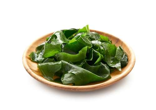 Kelp