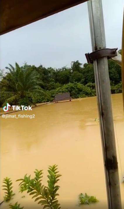 Viral rumah anti banjir pakai tong plastik agar mengapung di air.