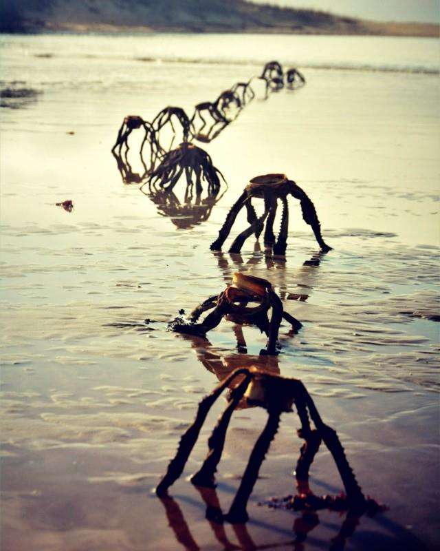Viral foto 'alien' muncul dari dalam laut.