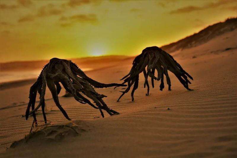 Viral foto 'alien' muncul dari dalam laut.