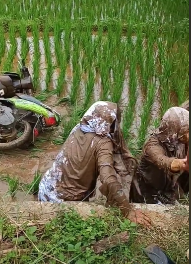 Viral 3 Siswi Boncengan Naik Motor Nyungsep ke Sawah, Wajahnya Tak Dikenali Gara-Gara ini