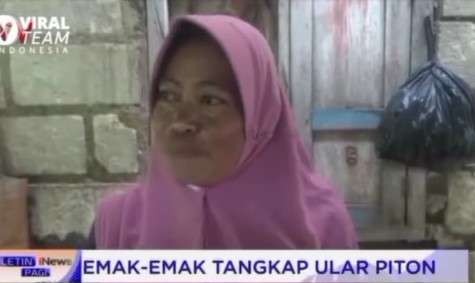 Salimah wanita yang berhasil tangkap ular piton raksasa